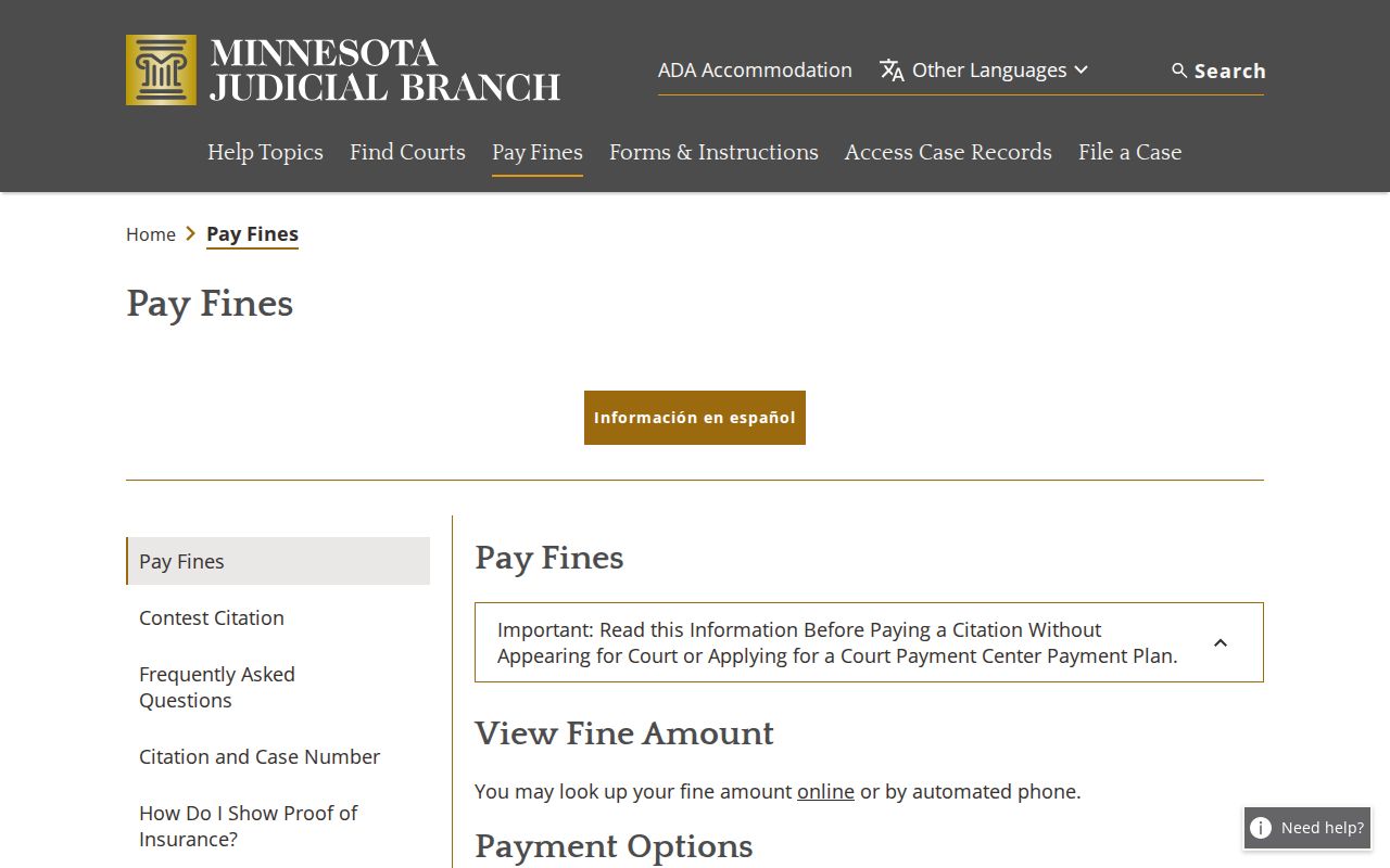 Hennepin traffic court records payment channel